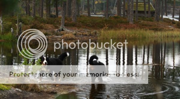 photo ed42cd74-9451-4e30-baa9-713d767a09dd_zps63c92d61.jpg