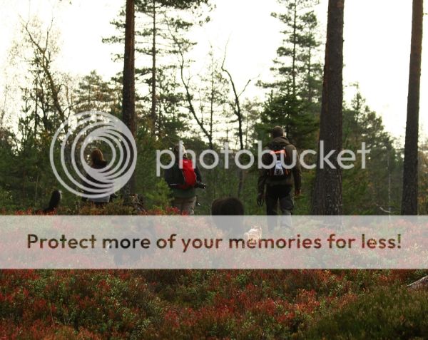 photo ee187ff5-0fb3-4527-897a-0ed74b22a837_zps626848bf.jpg