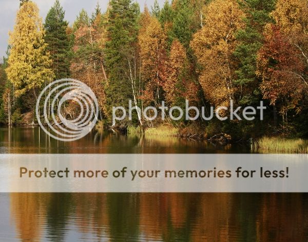 photo f6defa4a-d23d-49f1-9bc7-c4d50ab75250_zps87e213cb.jpg