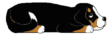 dg_berner_lying_down_trans21.gif picture by elgtun