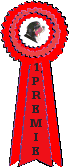 forstepremie1.gif image by elgtun
