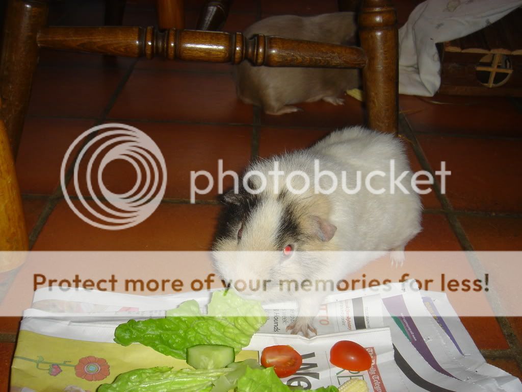 Picture007.jpg