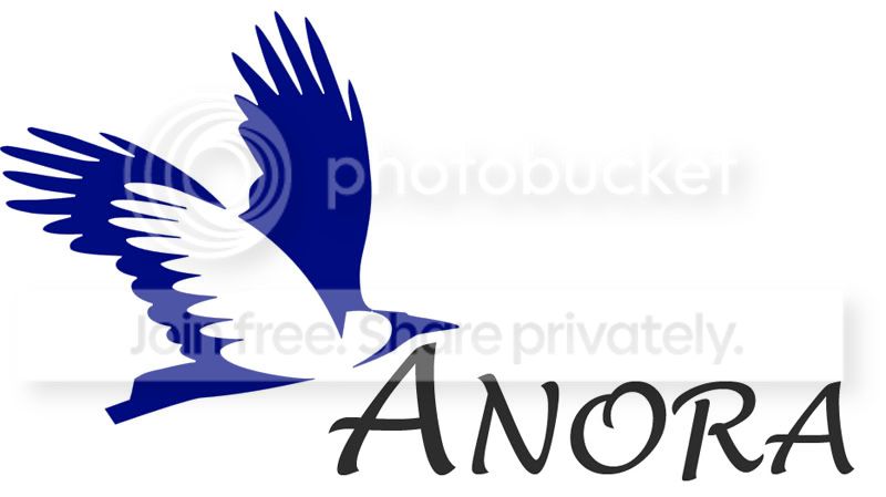 AnoraCityLogo.jpg